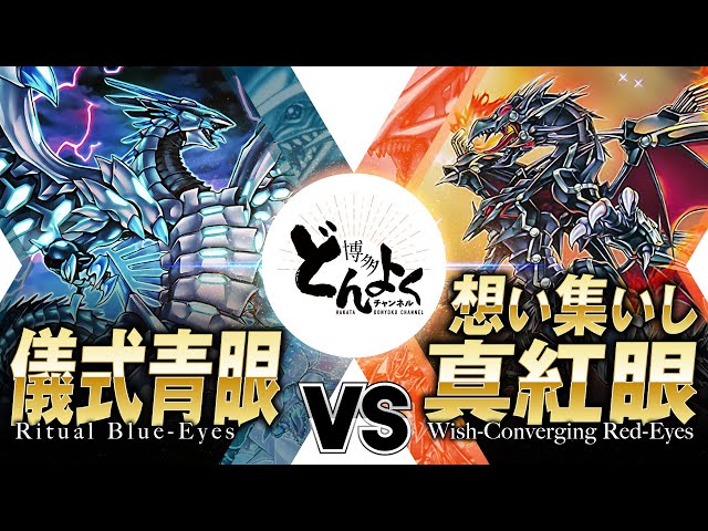 遊戯王】ブルーアイズとレッドアイズ 究極決戦！！全ての召喚法を束ね