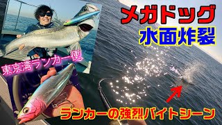 MX-8+とビッグベイト＆ジャイアントベイトの話 | Monster BASE