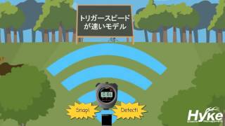 Browning Dark ProX FHD (ダークプロX) トレイルカメラ - トレイル