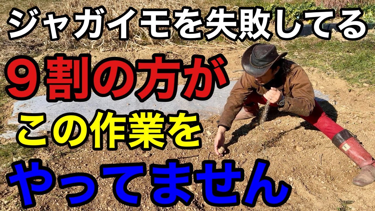 家庭菜園に方必見！オススメの農業資材「コスパ最高！省スペース