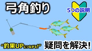釣り方】弓角釣り疑問解決！～5つの説明～ ショアジグより釣れる