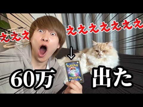 Daiki-sama pulls out a Pokemon card worth over 600,000 yen that no