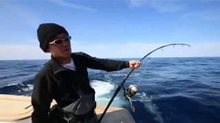 SOULS ソウルズ HARI-NO-YAMA ハリノヤマジグ - 釣具・釣り用品 通販