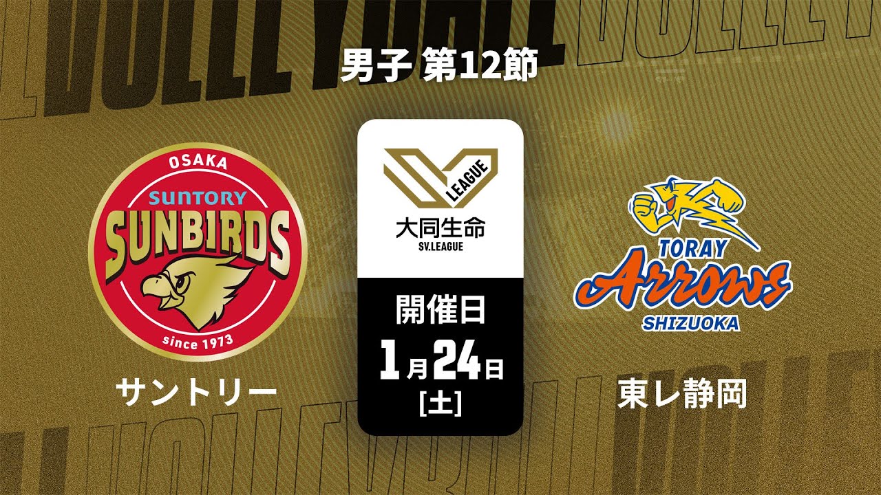 東レアローズ静岡 | チーム紹介 | 大同生命SVリーグ男子 2025-26