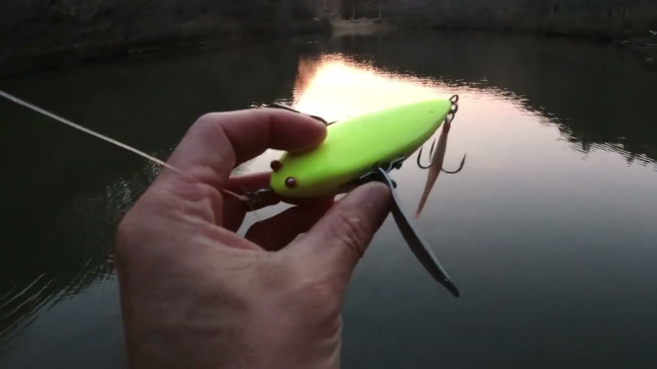 ウイングダックスくんって実際どうなの？羽根モノマニアが徹底レビュー