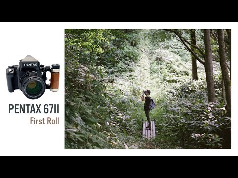 中判フィルムカメラ『バケペン』ファーストロール 薄明さんと森