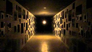 心臓音のアーカイブ 15777 - YouTube