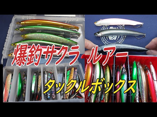 2025年爆釣サクラマス ルアーに期待してますよ - YouTube