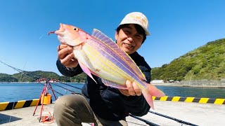 ドン深愛媛の大物釣り】Part.1どこに投げてもヤツが来る!! 超絶楽し