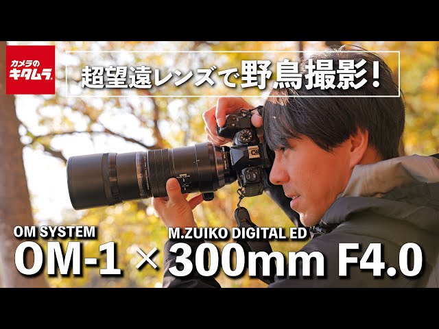 OM SYSTEM OM-1とED 300mm F4.0 IS PROで野鳥撮影｜描写力を求めるなら