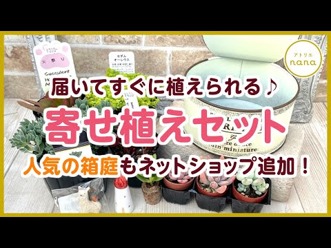 多肉植物】寄せ植えセット販売中！届いてすぐ植えられる♪箱庭も