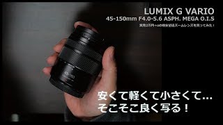 マイクロ]中古で1万円の望遠レンズを買ってみた!LUMIX G VARIO 45