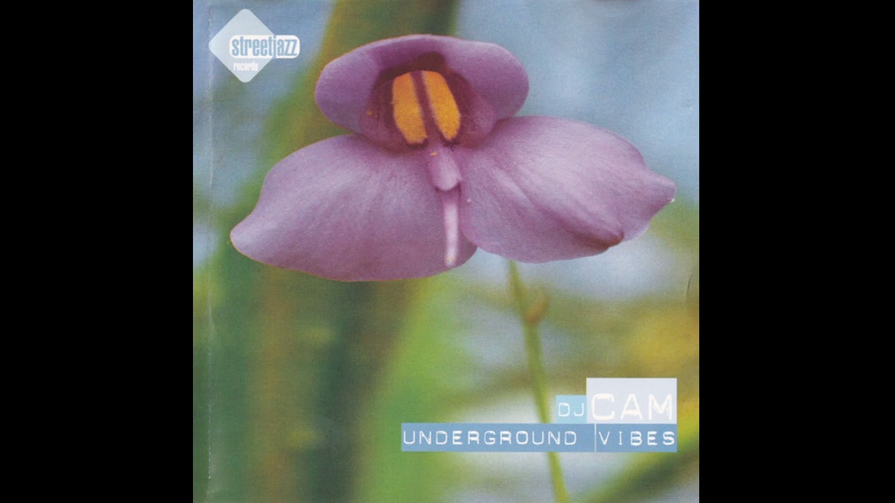 DJ Cam - Underground Vibes (Instrumental, Trip Hop) (1995) - YouTube