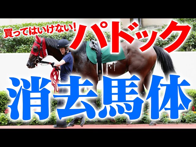 How to read the paddock] If you find one, don't buy it! 4 patterns