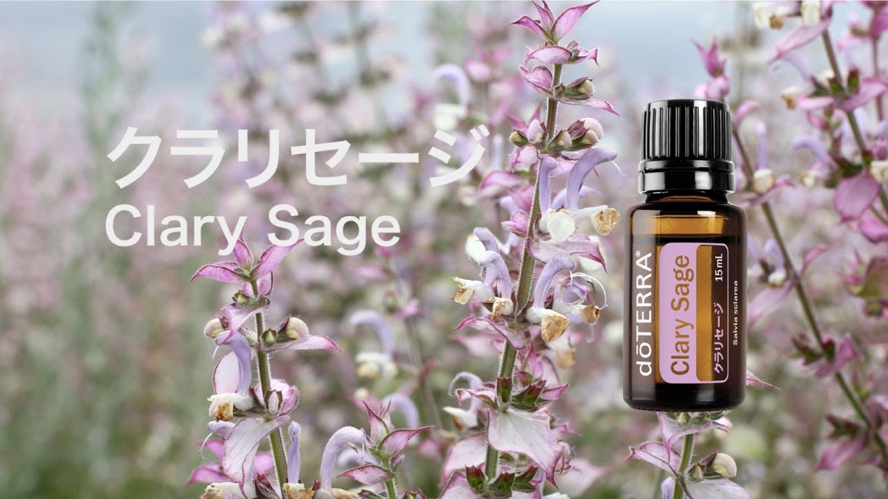クラリセージ - doTERRA TIMES