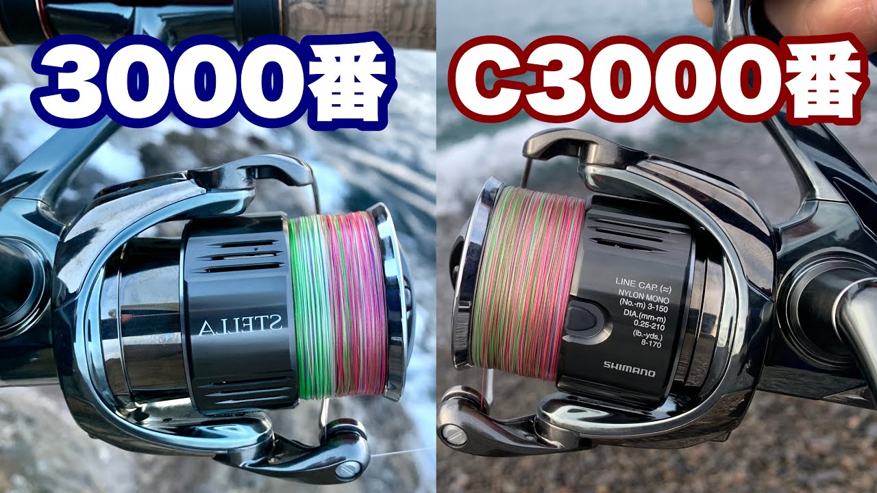 22 Stella] C3000MHG or 3000MHG, which one should I get? - YouTube