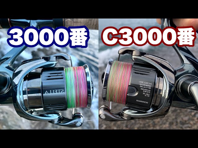 22 Stella] C3000MHG or 3000MHG, which one should I get? - YouTube