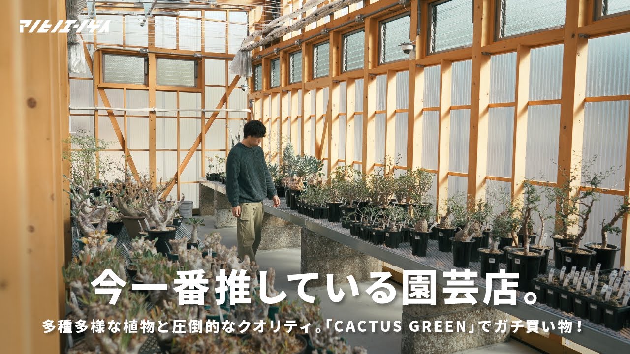 Overwhelming quality. A genuine gardening store you'll want to