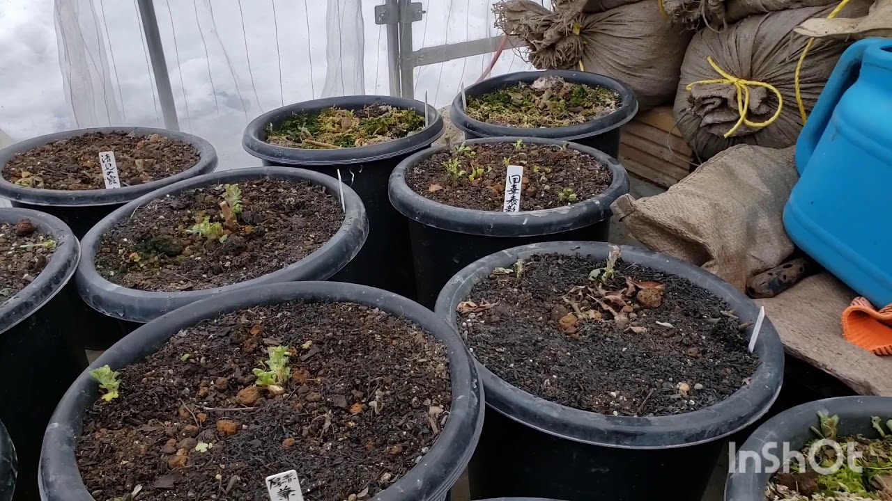 maxresdefault.jpg?sqp=-