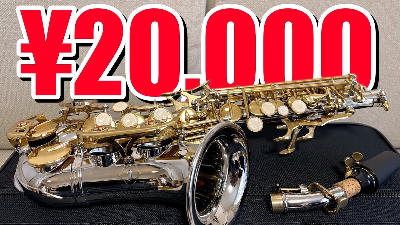 激ヤバ】Temuでカーブドソプラノ買ってみた - YouTube