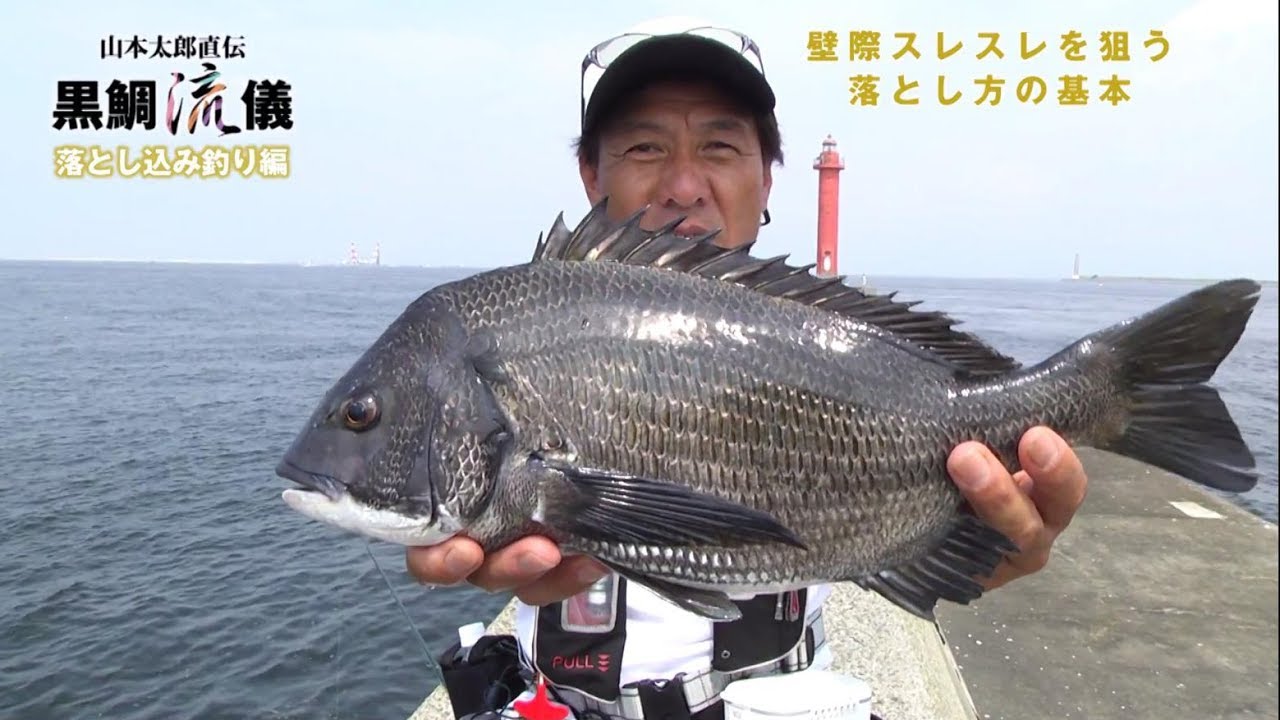 Black porgy style drop fishing [Basics of drop fishing to aim for