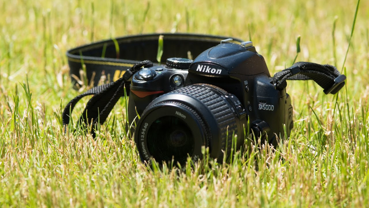 Nikon D5000 and 18-55 f/3.5-5.6G DX - What I'm Shooting With This