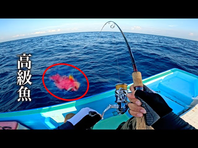 A luxury fish that can fetch a high price even if you catch just a