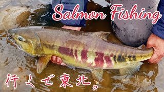 行くぜ東北。 今年も延べ竿で鮭釣り！ #サーモンフィッシング #SHIMANO