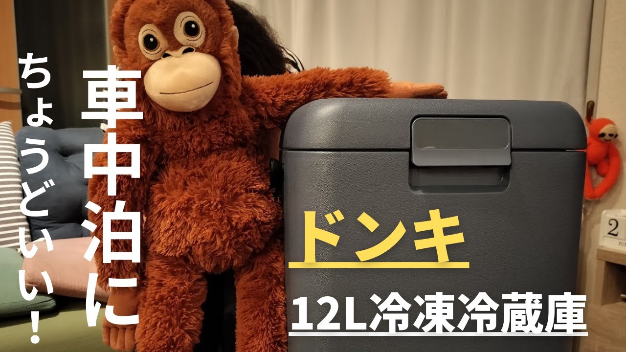 レビュー】ドンキの持ち運べる冷蔵庫（12L）を買って試してみた