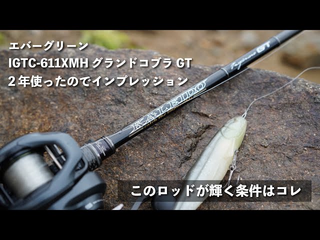 グランドコブラ】2年間使い込んだ男のインプレ【エバーグリーン