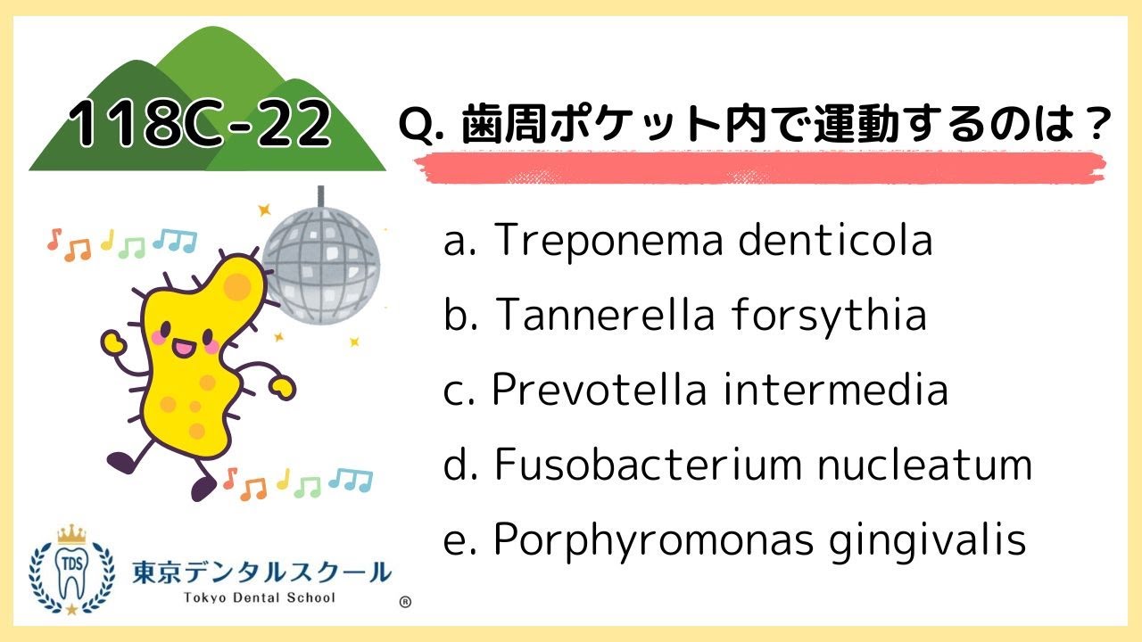 A representative of oral motile bacteria! Treponema denticola