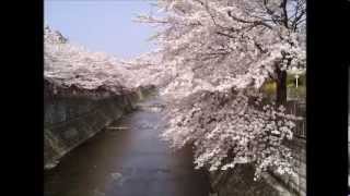 ヴィヴァルディ 「四季」より「春」 高音質 FULL - YouTube