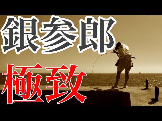 ヘチ釣り】がまかつ銀参郎M300レビュー！猛暑・暴風の中チヌと名勝負