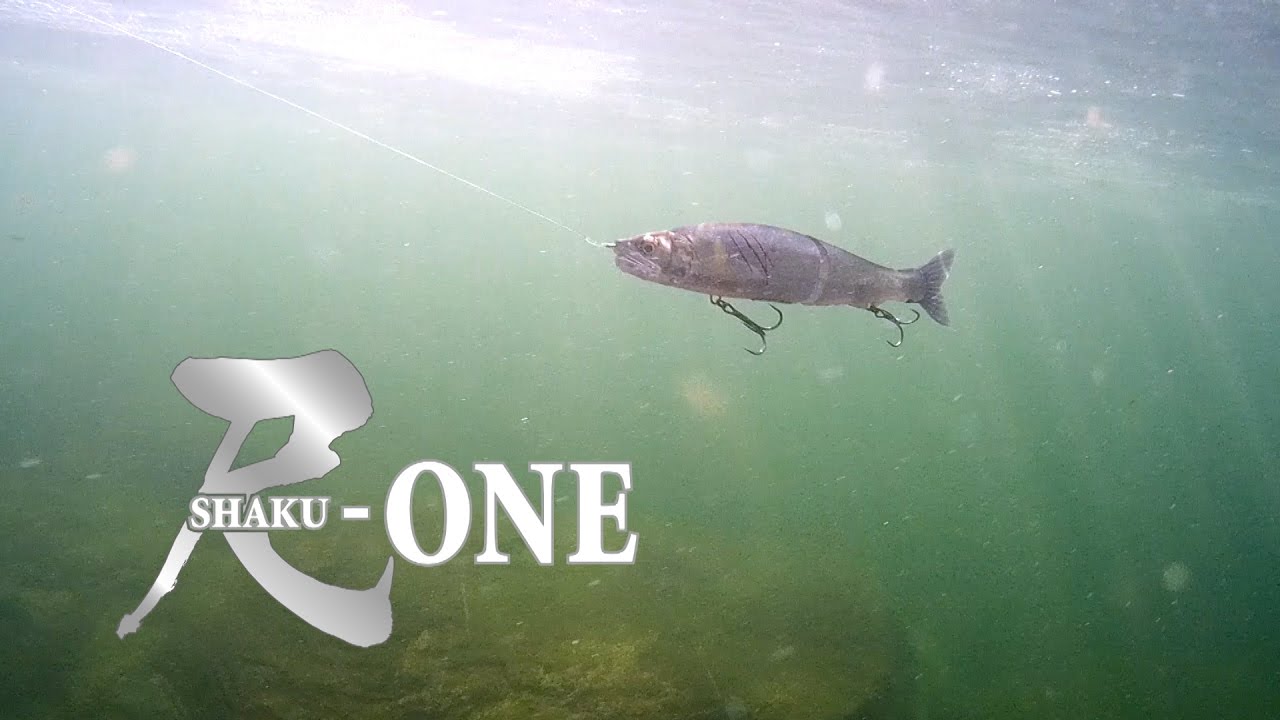 There is a 1-shaku-one bite scene. The story behind the