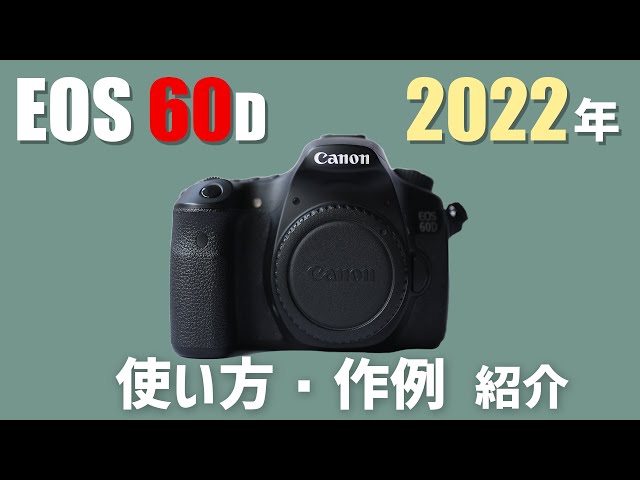 使い方・作例紹介】EOS 60Dは3万円で買える高コスパ機！ おすすめAPS-C