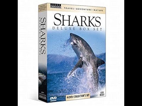 Opening To Encounters With Sharks 2006 DVD - YouTube