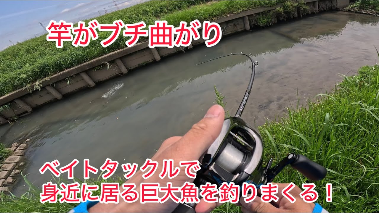 村田基】バスワンXTとワールドシャウラの○○が一緒な事、知っていまし