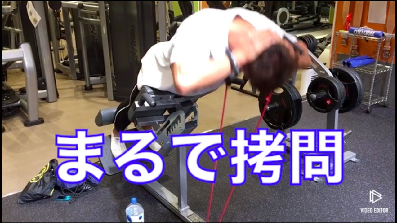 I tried using Hammer Strength and Back Extension for back muscle