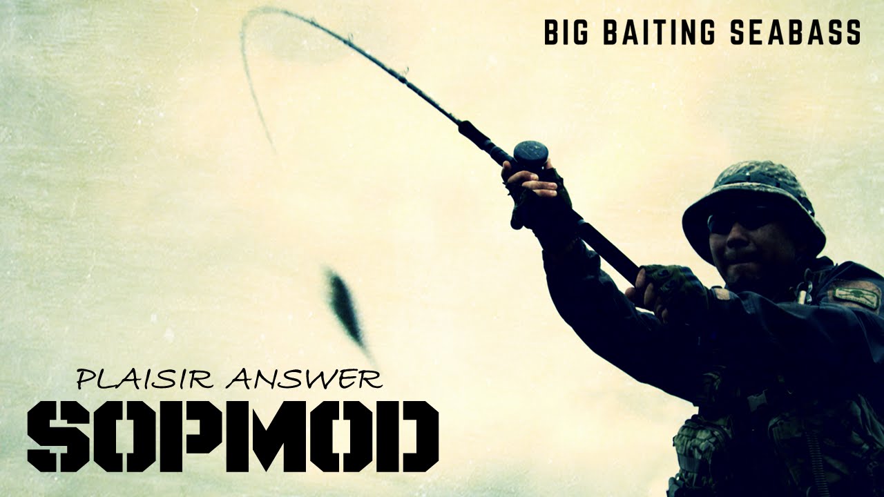 鱸道維新 PLAISIR ANSWER PA-B80 SOPMOD - PV - YouTube