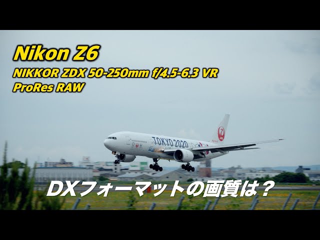 Nikon Z6 ProRes RAW 50-250mm DX Format | Osaka International