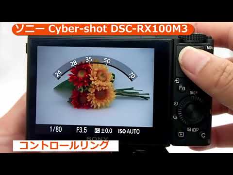 ソニー Cyber-shot DSC-RX100M3 | コンパクトデジタルカメラ