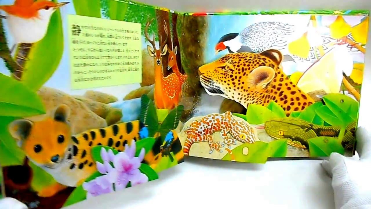 仕掛け絵本 ジャングル jungle - YouTube