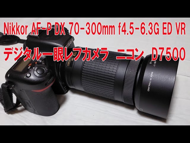 デジタル一眼レフカメラ ニコン D7500+Nikkor AF-P DX 70-300mm f4.5