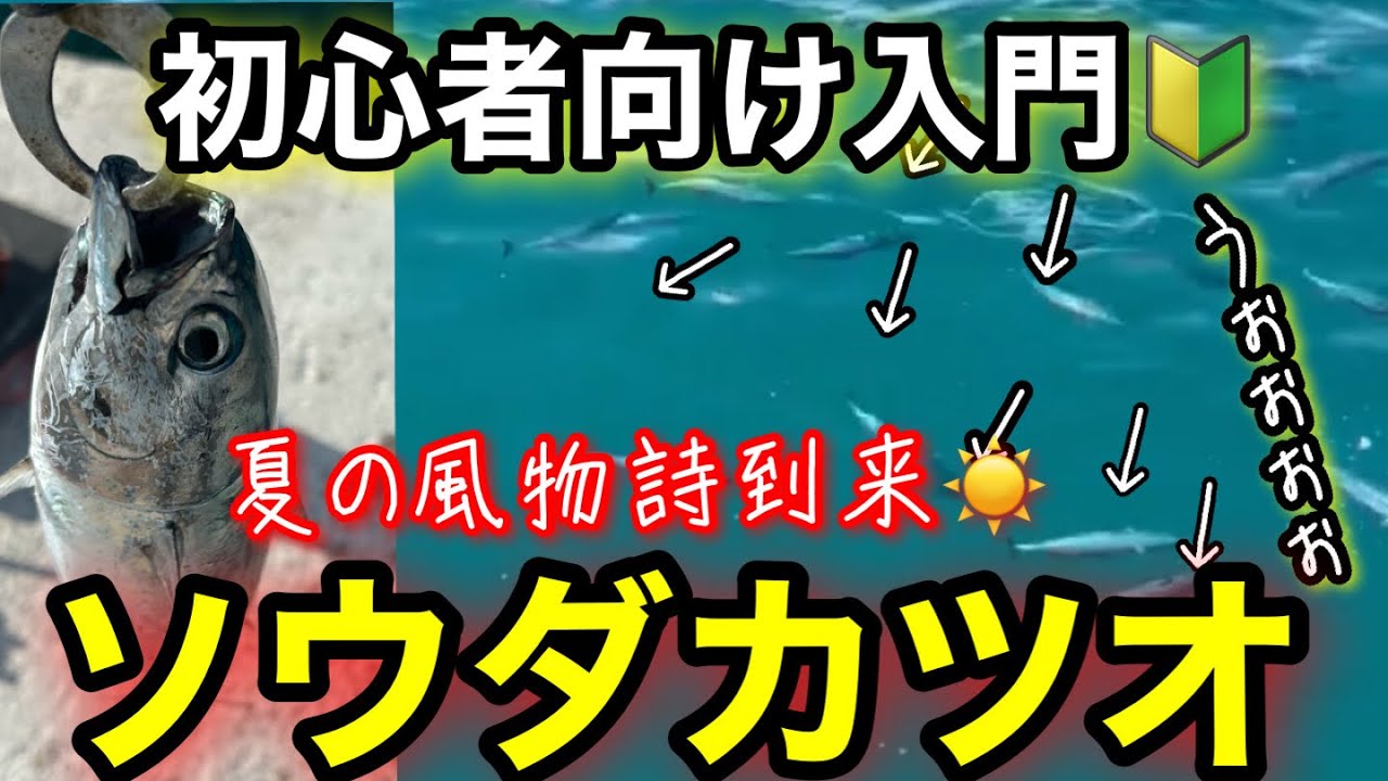 Beginner] This is the tackle and depth that even beginners can use