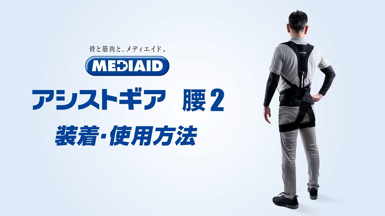 アシストギア 腰2】 | MEDIAID Online - メディエイド 公式オンライン