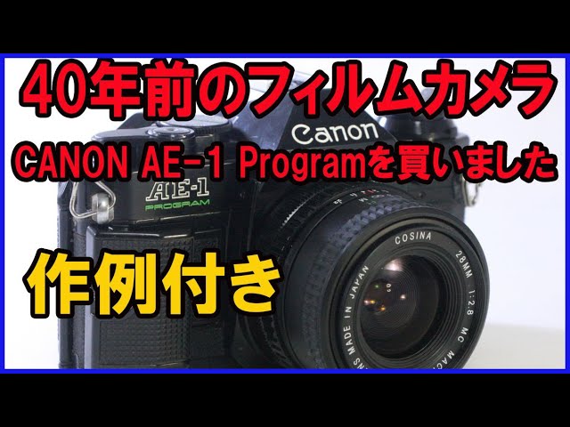 フィルムカメラ Canon AE -1 Programを買いました 約40年前のカメラ