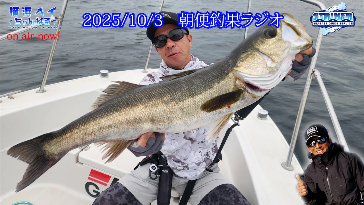 2025/10/3 朝便【釣果ラジオ】 #シーバス #ビッグベイト #東京湾
