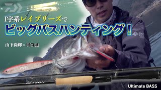 ダイワ バスロッド ブレイゾン C66M-2・ST(ベイト 2ピース)【即日発送