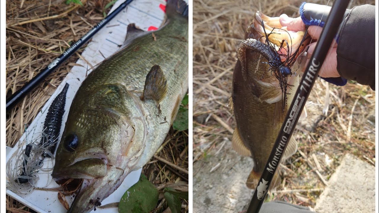 ツララxバックラッシュ モンストロ71BTX解説動画 - YouTube