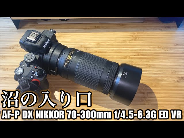 雑談】野鳥超軽量セットは沼の入り口 - Z50 × AF-P DX NIKKOR 70-300mm